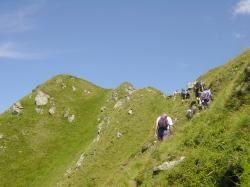 Hollersbach: Elferkogel Wegnr. 933