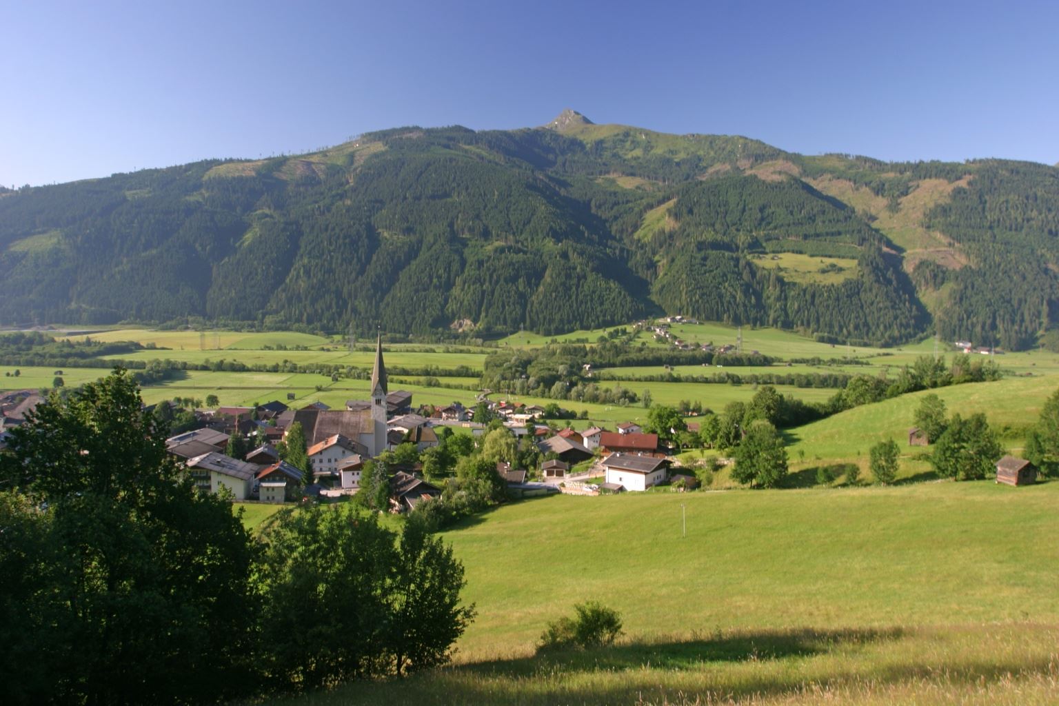 Stuhlfelden: Kälberrainrunde