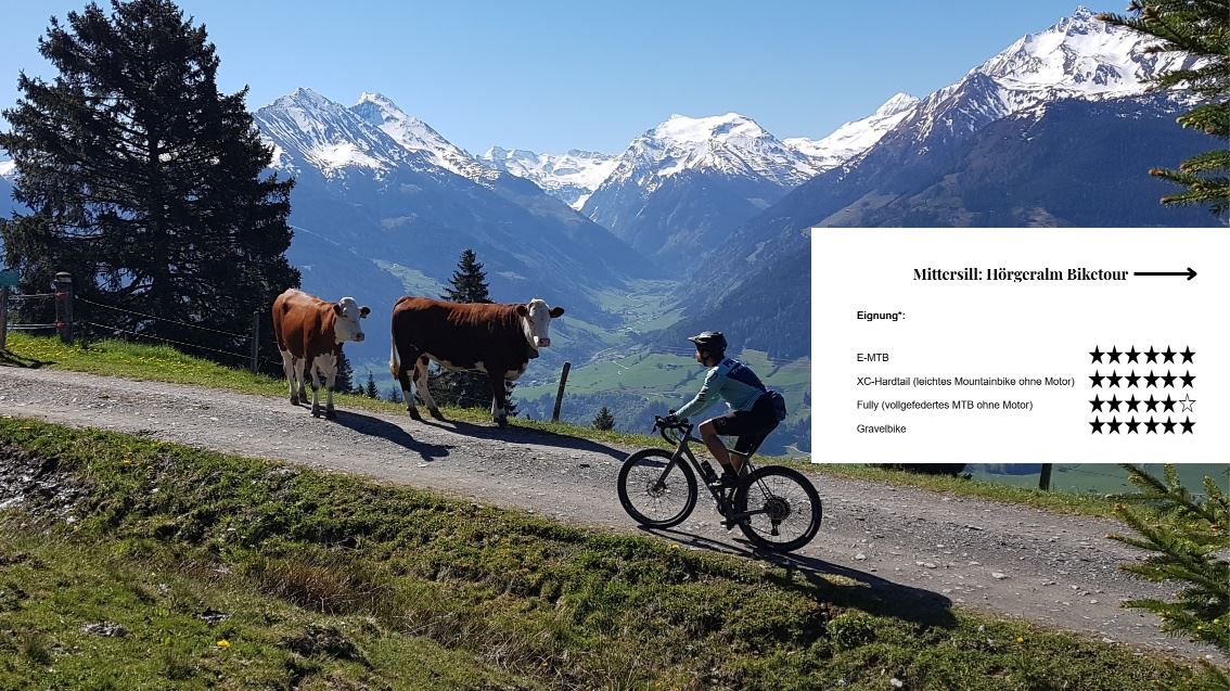Mittersill: Hörgeralm Biketour