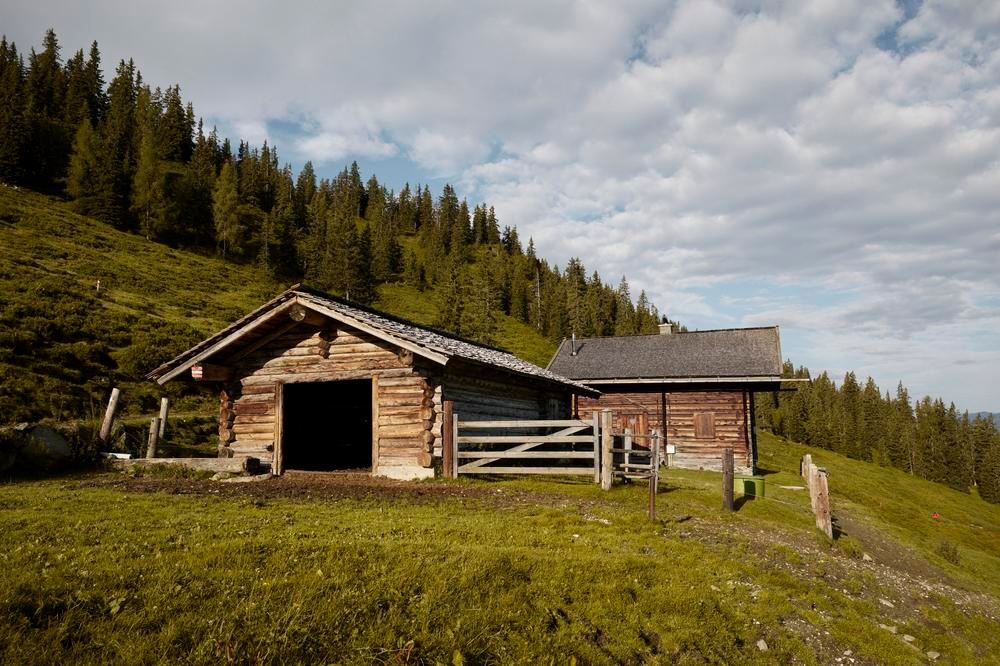 Hollersbach: Pölsneralm Biketour