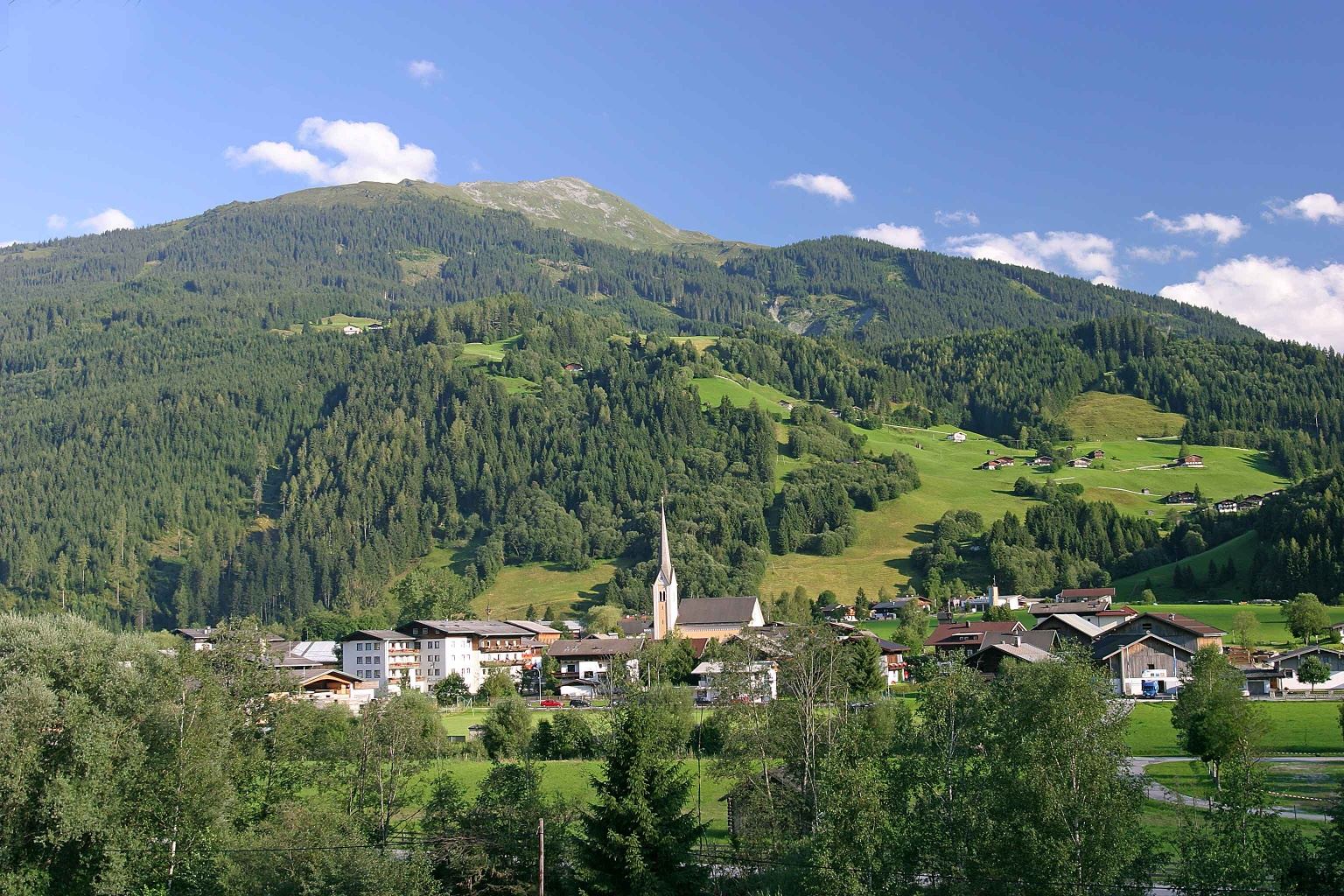 Hollersbach: Deutingerwald Wegnr. 12