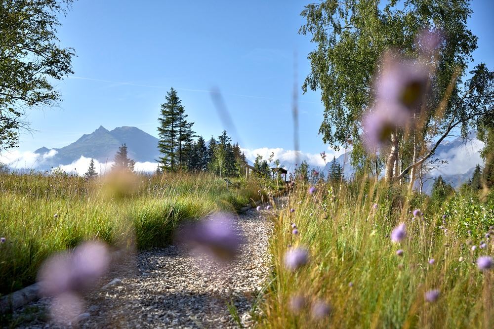 Mittersill: Lehrweg Wasenmoos